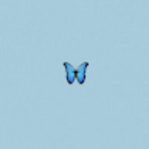 Meet your Posher, Savvy